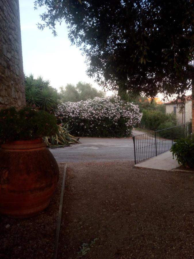 Case Cordovani Magliano in Toscana Dış mekan fotoğraf