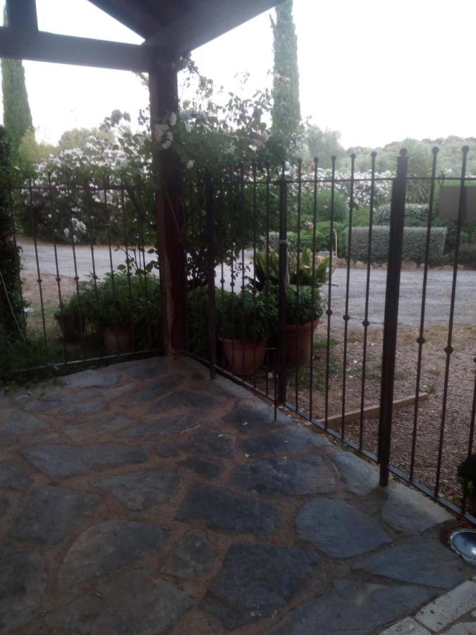 Case Cordovani Magliano in Toscana Dış mekan fotoğraf