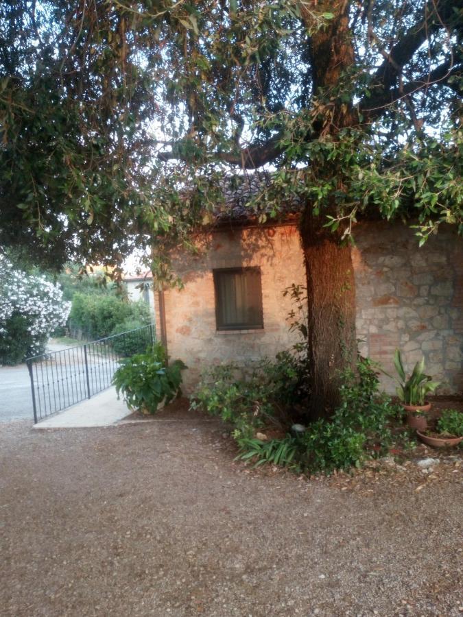 Case Cordovani Magliano in Toscana Dış mekan fotoğraf