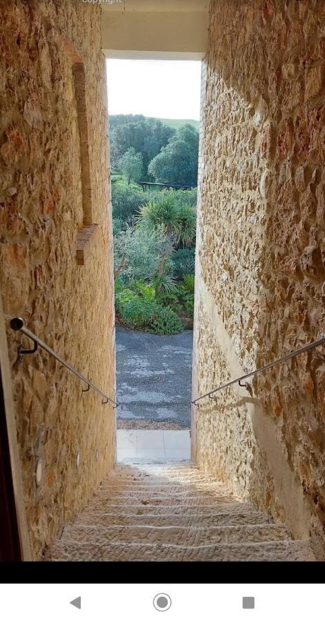Case Cordovani Magliano in Toscana Dış mekan fotoğraf