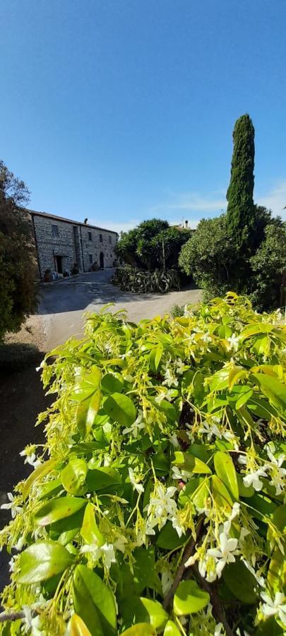 Case Cordovani Magliano in Toscana Dış mekan fotoğraf
