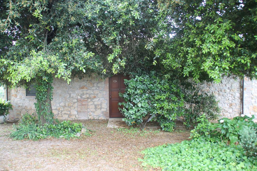 Case Cordovani Magliano in Toscana Dış mekan fotoğraf