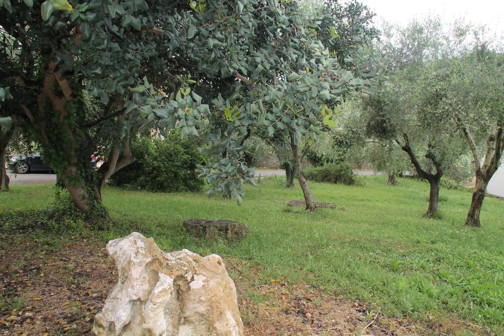 Case Cordovani Magliano in Toscana Dış mekan fotoğraf