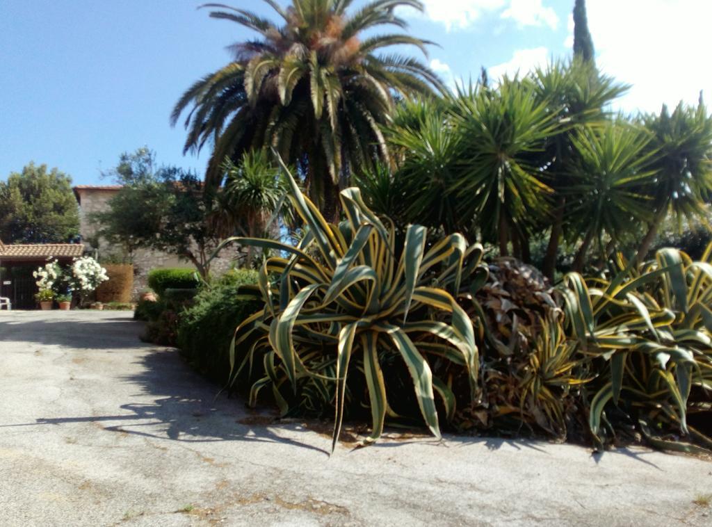 Case Cordovani Magliano in Toscana Dış mekan fotoğraf