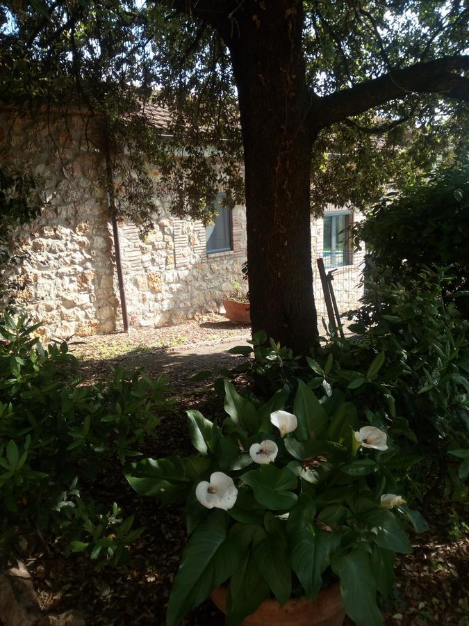 Case Cordovani Magliano in Toscana Dış mekan fotoğraf