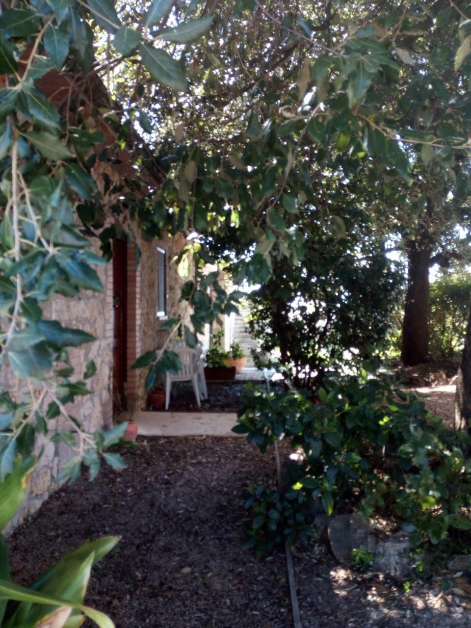 Case Cordovani Magliano in Toscana Dış mekan fotoğraf
