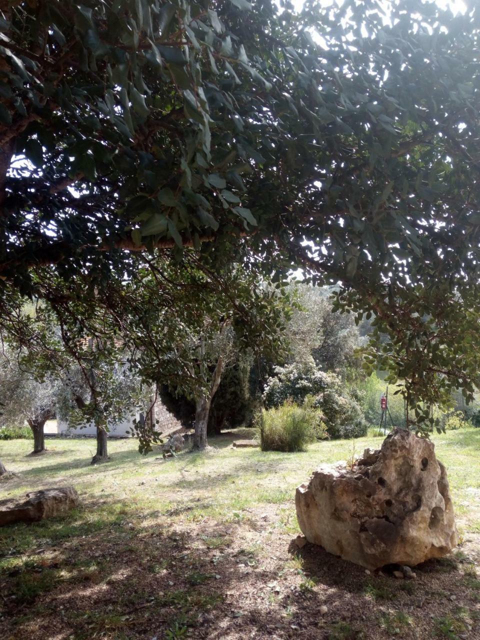 Case Cordovani Magliano in Toscana Dış mekan fotoğraf